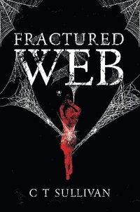 bokomslag Fractured Web