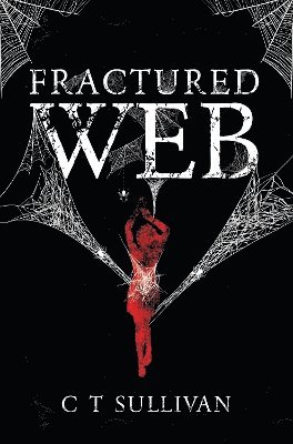 bokomslag Fractured Web