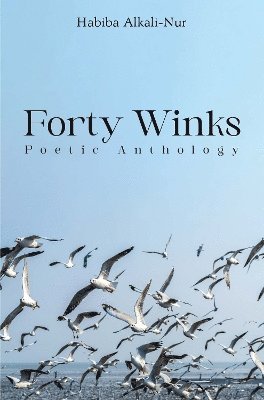 bokomslag Forty Winks: Poetic Anthology
