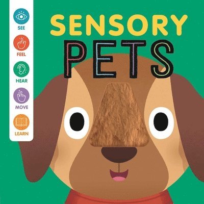 Igloobooks, Rose Harkness - Sensory Pets: An Interactive Touch & Feel Book for Babies, Kartonnage