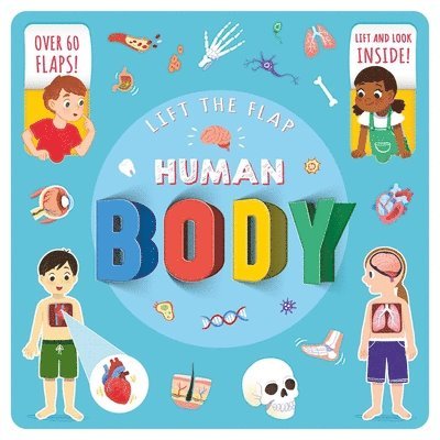 Lift the Flap Human Body 1