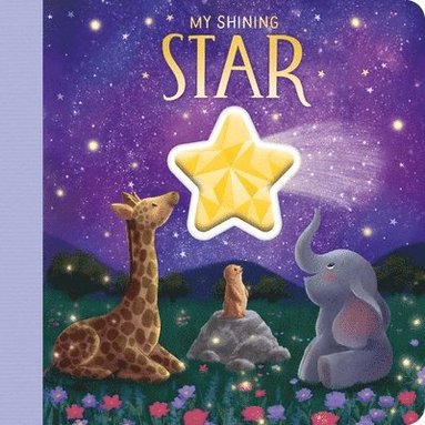 bokomslag My Shining Star