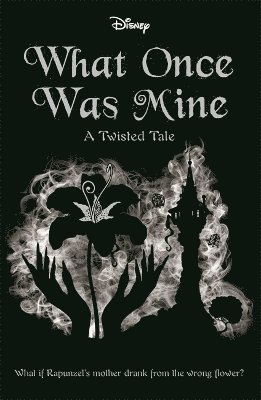 Liz Braswell - Disney Princess Rapunzel: What Once Was Mine, Häftad