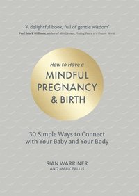 bokomslag How to Have a Mindful Pregnancy and Birth