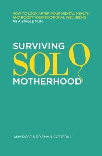 bokomslag Surviving Solo Motherhood