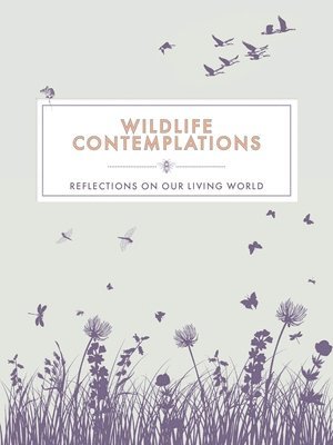 bokomslag Wildlife Contemplations