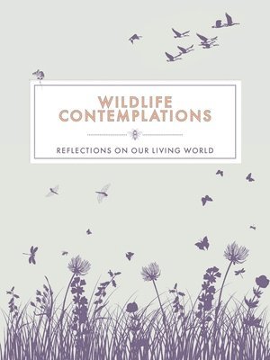 Wildlife Contemplations 1