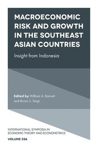 bokomslag Macroeconomic Risk and Growth in the Southeast Asian Countries