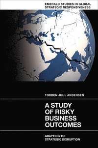 bokomslag A Study of Risky Business Outcomes
