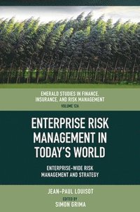 bokomslag Enterprise Risk Management in Today's World