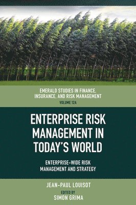 bokomslag Enterprise Risk Management in Today's World