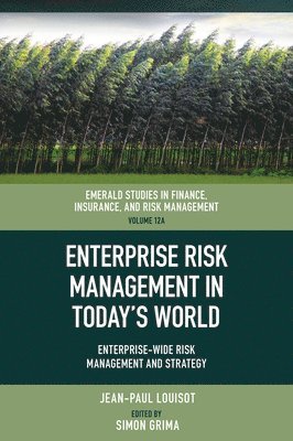 bokomslag Enterprise Risk Management in Todays World