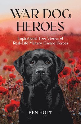 Ben Holt - War Dog Heroes, Häftad