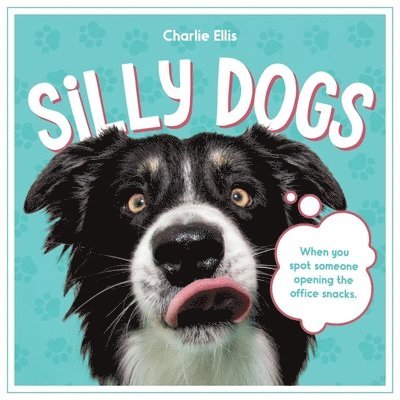 Silly Dogs