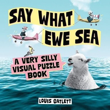 bokomslag Say What Ewe Sea