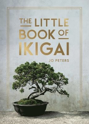 bokomslag The Little Book of Ikigai