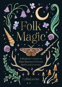 bokomslag Folk Magic