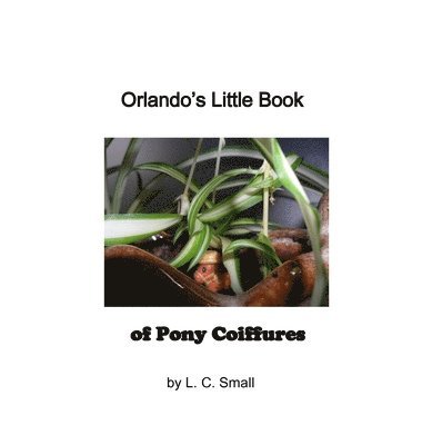 Orlando's Little Book of Pony Coiffures