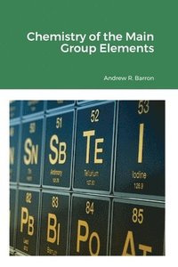 bokomslag Chemistry of the Main Group Elements