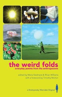 bokomslag The Weird Folds