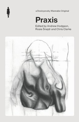 Andrew Hodgson, Rosie Snajdr, Rosie najdr, Rosie ¿Najdr, Chris Clarke - Praxis, Häftad