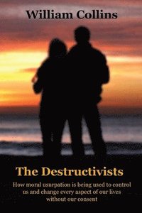 bokomslag The Destructivists
