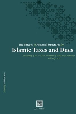 Wahid M Amin - Efficacy of Financial Structures for Islamic Taxes and Dues, Häftad