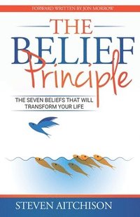 bokomslag The Belief Principle