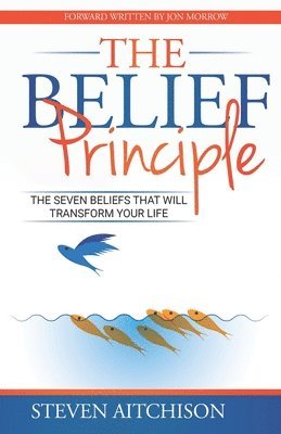 bokomslag Belief Principle