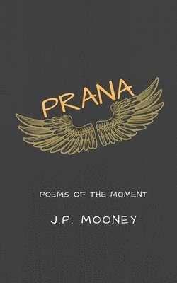 bokomslag Prana: Poems of the Moment
