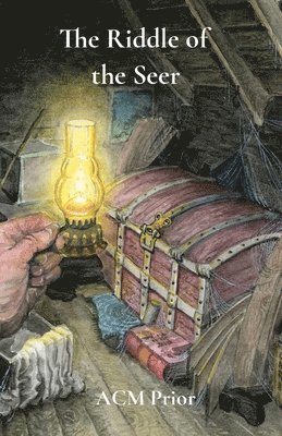 bokomslag Riddle of the Seer