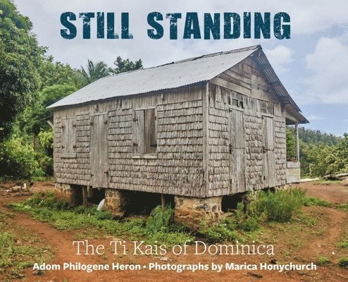 Still Standing 1