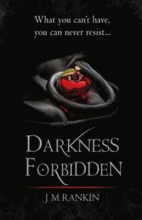 bokomslag Darkness Forbidden