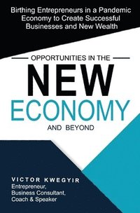 bokomslag Opportunities in the New Economy and Beyond