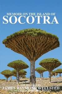 bokomslag Socotra
