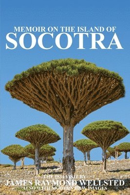 Socotra 1