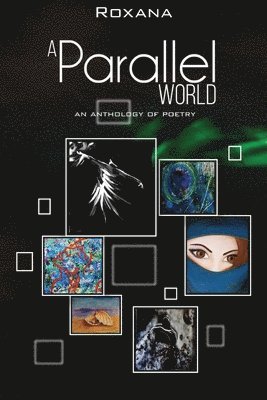 bokomslag Parallel World
