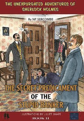 bokomslag Secret Predicament of the Stupid Banker