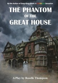 bokomslag Phantom of the Great House