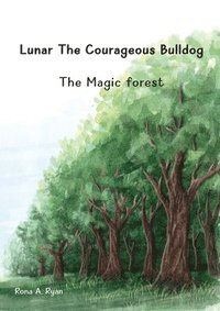 bokomslag The Magic Forest