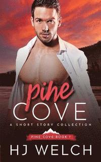 bokomslag Pine Cove