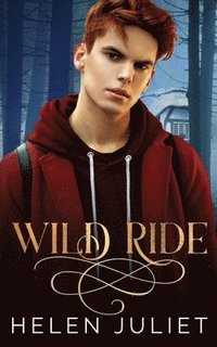 bokomslag Wild Ride