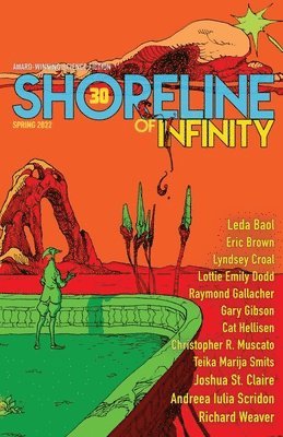 Shoreline of Infinity 30 1