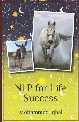 Nlp for Life Success: From Negatives to Positives a Simplified Extract for High Performers 1