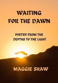 bokomslag Waiting For The Dawn: Poetry from the Depths to the Light