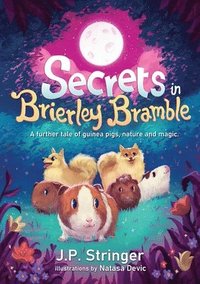 bokomslag Secrets in Brierley Bramble