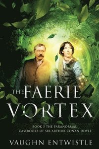 bokomslag Faerie Vortex