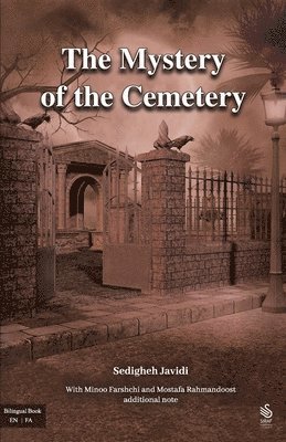 bokomslag mystery of the cemetery