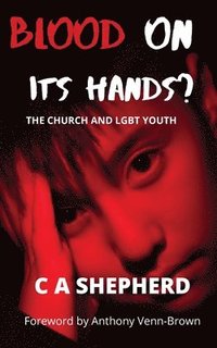 bokomslag Blood on its hands? The Church and LGBT youth