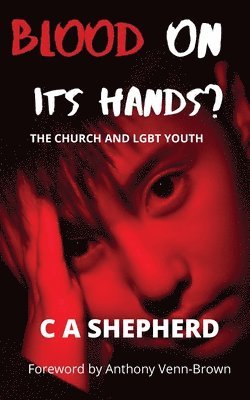 Blood on its hands? The Church and LGBT youth 1